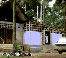 Saiba Mais sobre o Gab�o